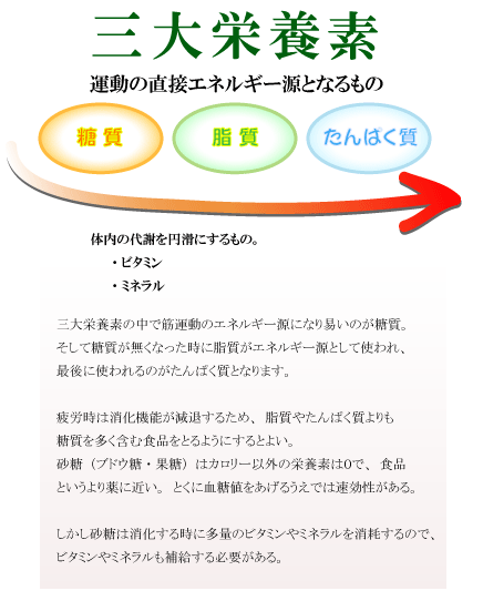 糖質、脂質、たんぱく質の順番に使われる。