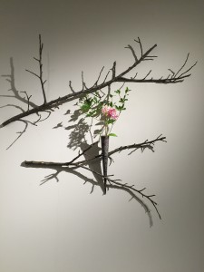 IMG_6407