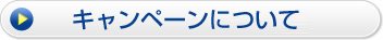 キャンペーンについて